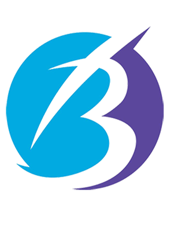 Brainpals Logo